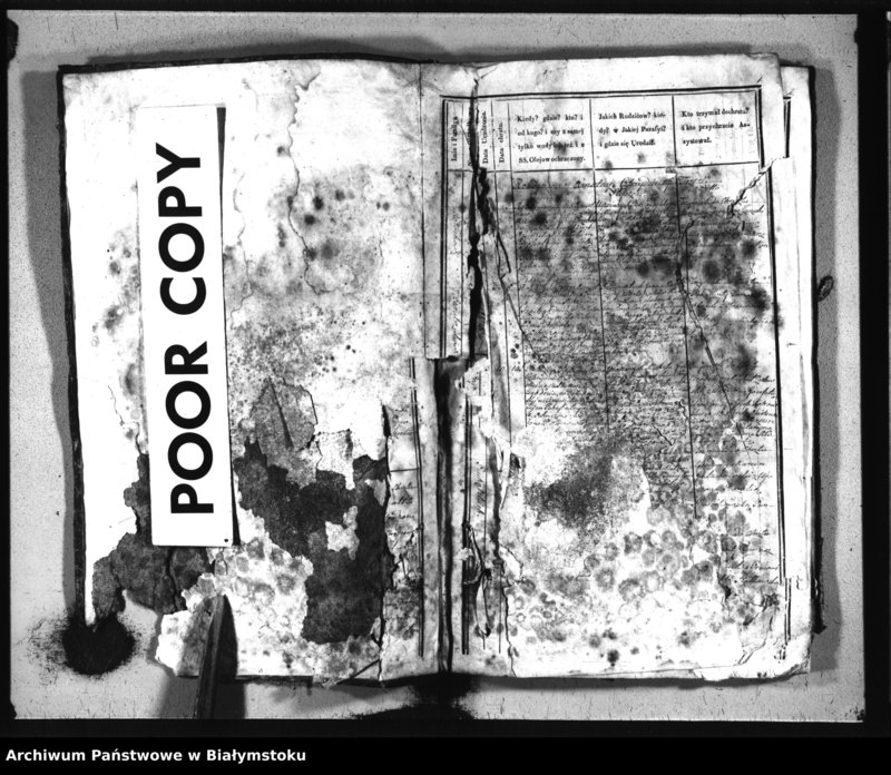 Obraz z jednostki "[Extrakta metryczne chrztów kościołów dekanatu siemiatyckiego, a mianowicie: Dziadkowickiego, Siemiatyckiego, Sadowskiego, Ostrożańskiego, Mielnickiego, Niemirowskiego i Dołubowskiego z roku 1843]"