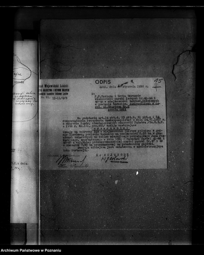 Obraz 19 z jednostki "Parcele leśne pod nazwą,,Zakrzew" powiat turecki"