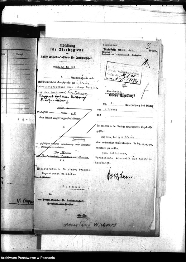 Obraz 7 z jednostki "Nosacizna - Witkowo"