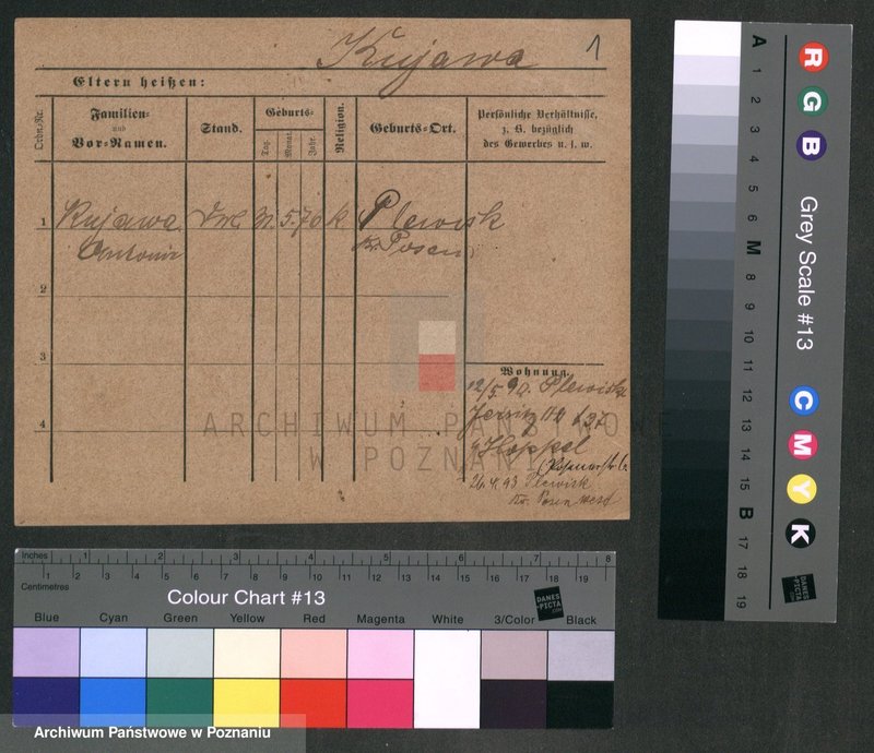 Obraz 1 z jednostki "Kujawa"