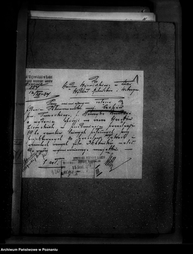 Obraz 5 z jednostki "Sprawa zatwierdzenia projektu planu gospodarstwa leśnego dla lasu majątku Czepów-Dolny powiat turecki"