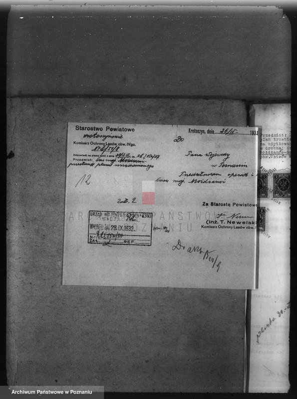 Obraz 16 z jednostki "Majętność leśna Możdzanów powiat ostrowski"