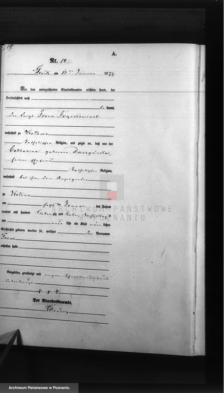 Obraz 16 z jednostki "Księga urodzeń"