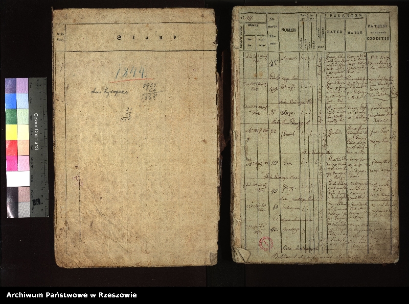 image.from.unit.number "Księga urodzeń dla miejscowości Stefkowa"