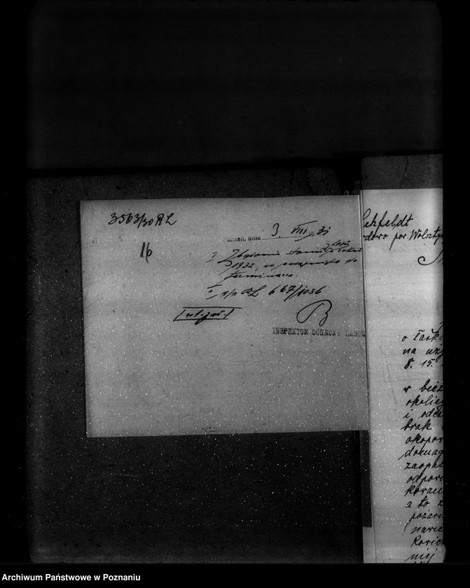 Obraz 20 z jednostki "Majętność leśna Powodowo powiat wolsztyński"