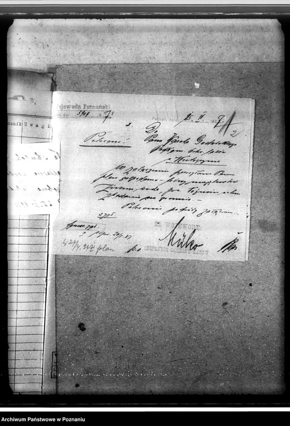 Obraz 6 z jednostki "Majętność leśna Zimnawoda w powiecie gostyńskim"