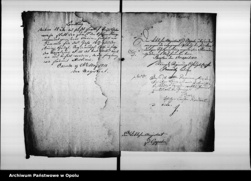 Obraz 9 z jednostki "Acta von der Schützen Gilde zu Oppeln... Deren Uniformirung und Prämien-Zalung für den Schützen König betreffend Vol. No. 6 de anno 1802"