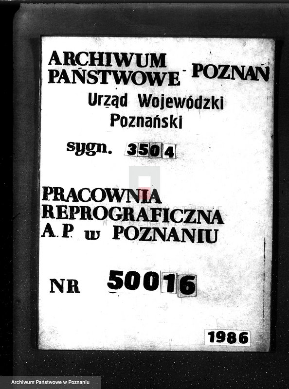 Obraz 1 z jednostki "Las parafialny kościoła w Radomicku powiat kościański"