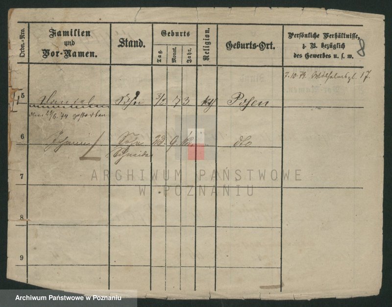 Obraz 10 z jednostki "Przybylski (żonaci - samotni mężczyźni do Gustaw)"