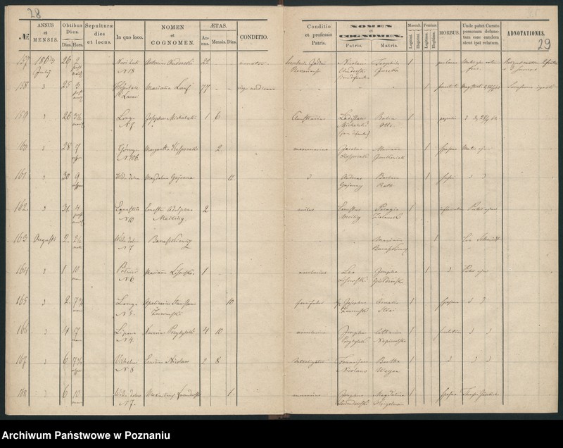 Obraz 17 z jednostki "Księga zgonów"