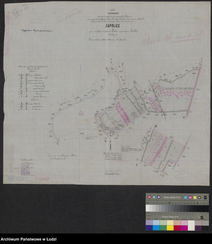 Obraz 1 z jednostki "Szkic pierworysu gruntów wydzielonych z majątku Zapolice i na mocy orzeczenia Okręgowej Komisji Ziemskiej w Piotrkowie z dnia 30 maja 1930 roku oddanych w zamian za serwituty pastwiskowe i leśne na własność wsi Zapolice w gminie Zapolice powiecie łaskim położonych"