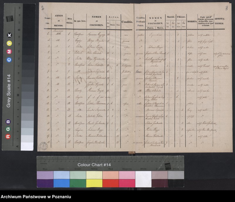 Obraz 4 z jednostki "Księga zgonów"