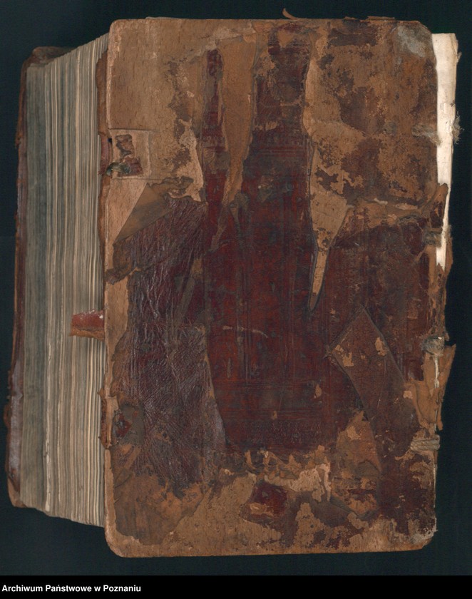 Obraz 1 z jednostki "Acta coram spectabili consulatu praesidentibus in officio seu iudicio ...consulibus."