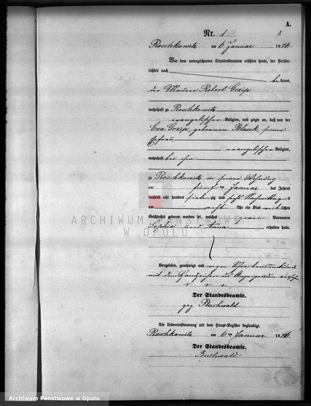 image.from.unit "Geburts-Neben-Register Standesamts Roschkowitz pro 1876"