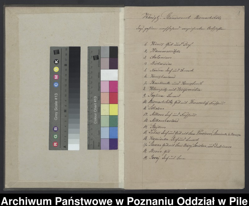 Obraz 3 z jednostki "Księga zgonów"