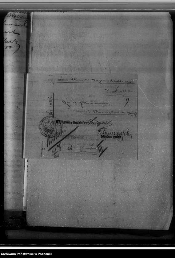 Obraz 13 z jednostki "Zatwierdzenie nowo sporządzonego projektu planu gospodarstwa dla majątku Osiek-Mały powiat kolski gmina Budzisław"