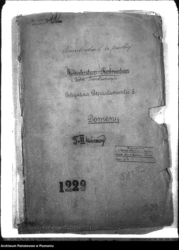 Obraz 4 z jednostki "Domeny"