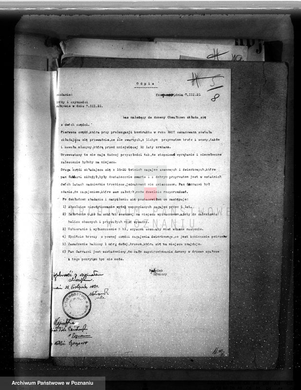 Obraz 13 z jednostki "Drzewostan na majątku państwowym Chwałkowo powiat średzki"