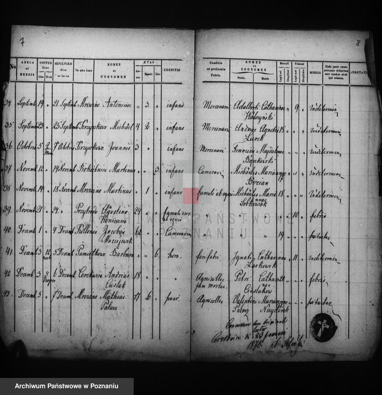 Obraz 6 z jednostki "Liber mortuorum"