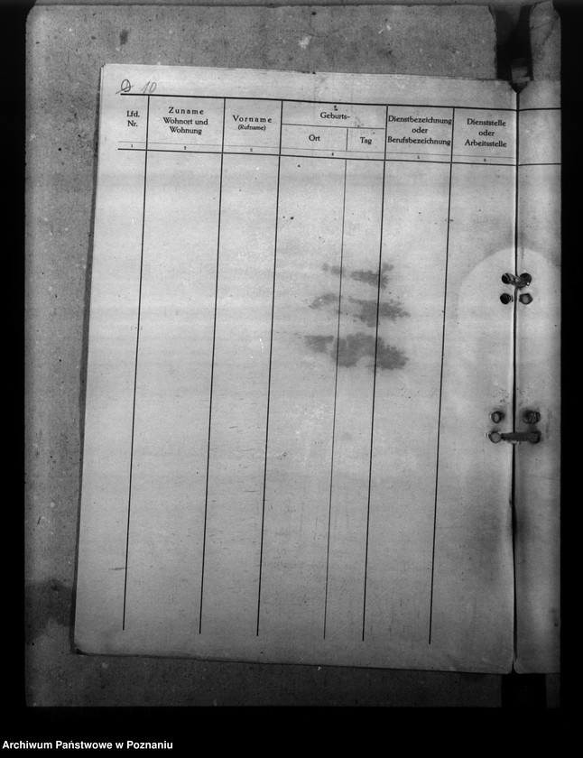 Obraz 14 z jednostki "Treudienst - Ehrenzeichen"