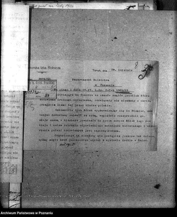 Obraz 12 z jednostki "Sprawy szczegółowo-administracyjne Drobny inwentarz i drób"