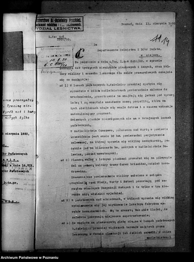 Obraz 19 z jednostki "Nieużytki rolne"