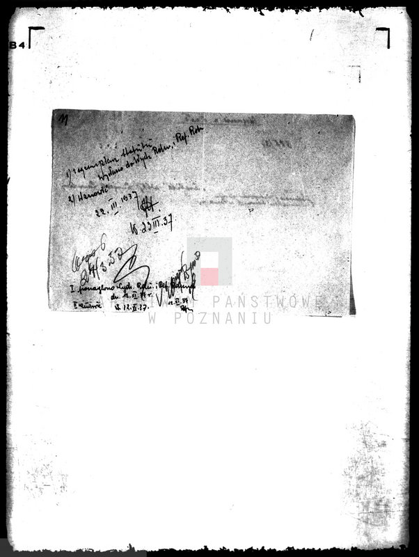 Obraz 15 z jednostki "/,,Cerelita" Wielkopolski Związek Zawodowych Hodowców i Wytwórców Nasion i Ziemniaków Siewnych/"