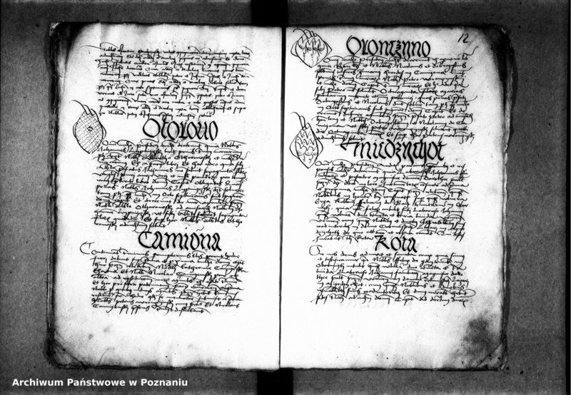 Obraz 15 z jednostki "Inscriptiones, relationes, decreta [inducta]"