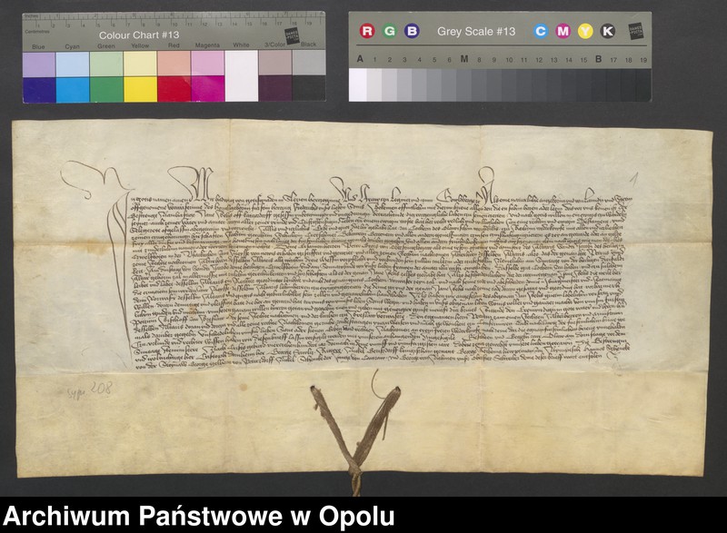 image.from.collection.number "Z opolskiego skarbca - dokument Jadwigi, księżnej na Śląsku z 1455 r."