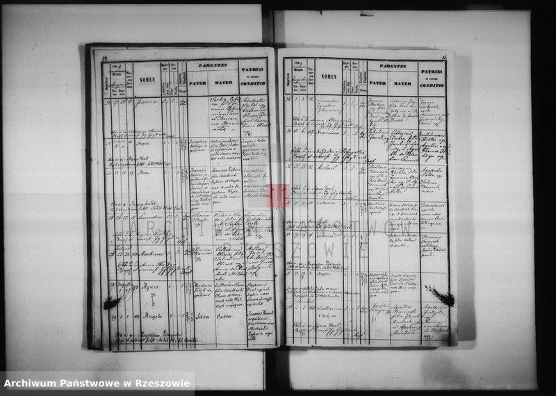 image.from.unit.number "Księga urodzeń - Przedmieście Czudeckie"