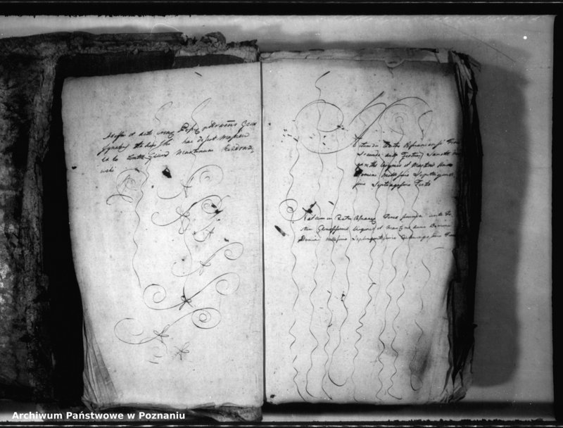 Obraz 4 z jednostki "Relationes [protocollon]"