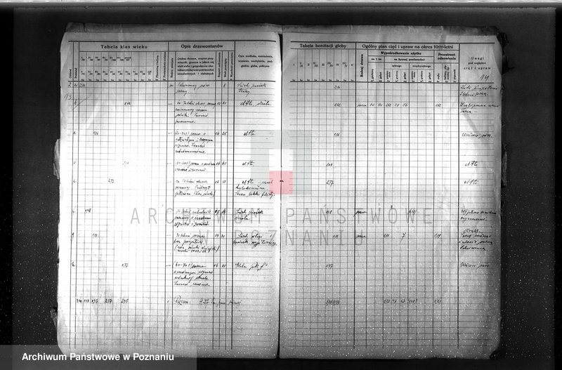 image.from.unit.number "Plan urządzenia gospodarstwa leśnego dla lasu majętności P. Griesera powiat szamotulski 1930-1940"