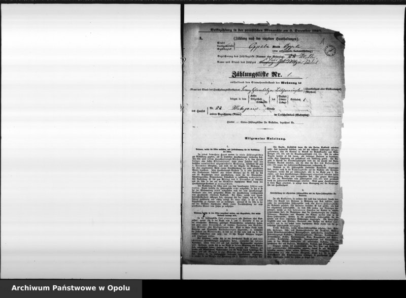 Obraz 5 z jednostki "[Okręg spisowy 12 - spis ludności 1867]"