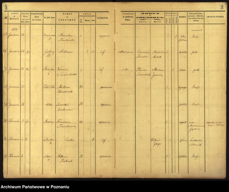 Obraz 7 z jednostki "Księga zgonów"