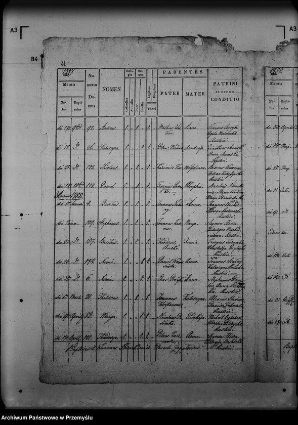 image.from.unit.number "[Kopie ksiąg metrykalnych parafii Zapałów (dekanat Lubaczów)]"