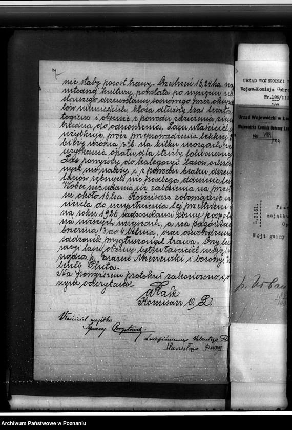 Obraz 11 z jednostki "Sprawa o niedostateczne zalesienie lasu 16,24 ha w majątku Tłokinia"