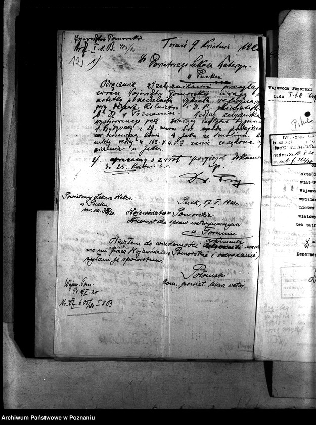 Obraz 16 z jednostki "Nosacizna - Puck"