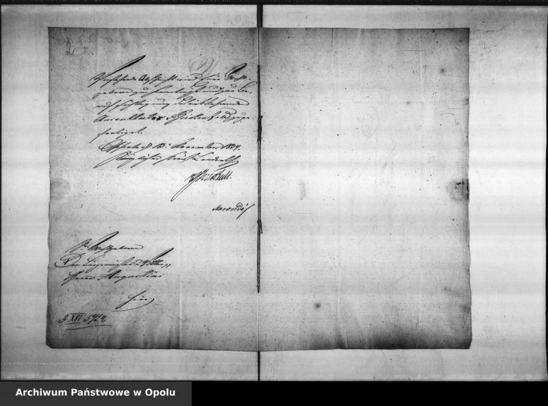 Obraz 6 z jednostki "Acta personalia über den Auscultator Ludwig Carl Birkenfeld hieselbst"