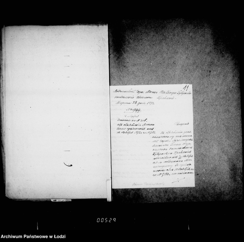 Obraz 15 z jednostki "O gorodskich lesach"