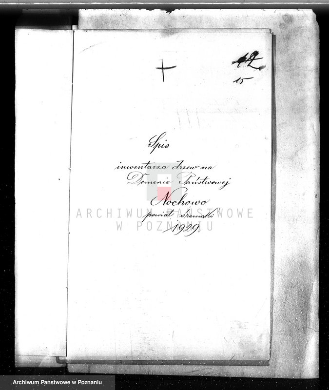 image.from.unit.number "Las majętności Nochowo w powiecie śremskim"