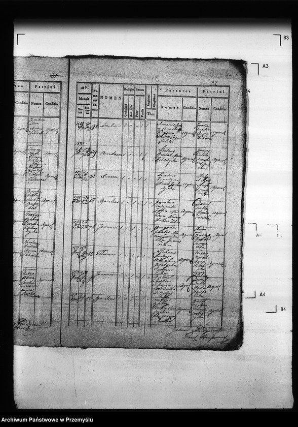 Obraz 8 z jednostki "[Kopie ksiąg metrykalnych parafii Hruszów z filiami Budomierz, Kłonice, Szczepłoty (dekanat Niemirów)]"