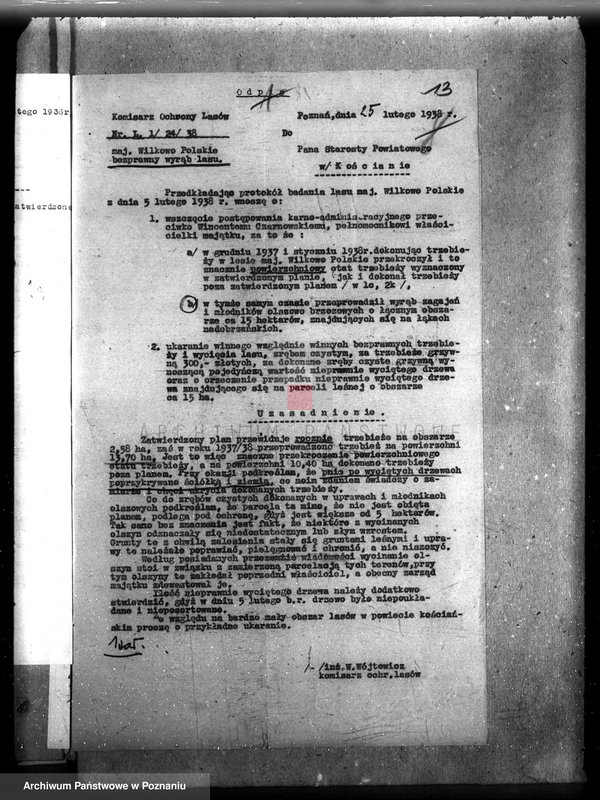 Obraz 18 z jednostki "Majętność /leśna/ Wilkowo Polskie powiat kościański"