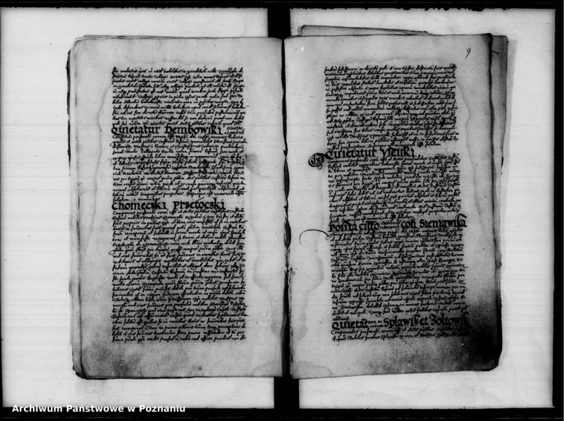 Obraz 12 z jednostki "Inscriptiones, relationes [inducta]"