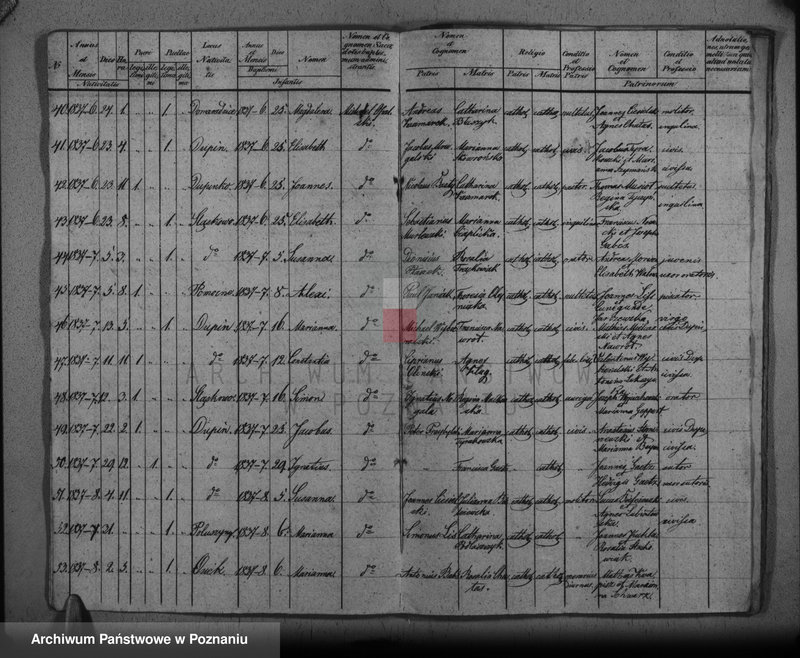 Obraz 7 z jednostki "Duplikat baptisatorum, copulatorum, mortuorum"