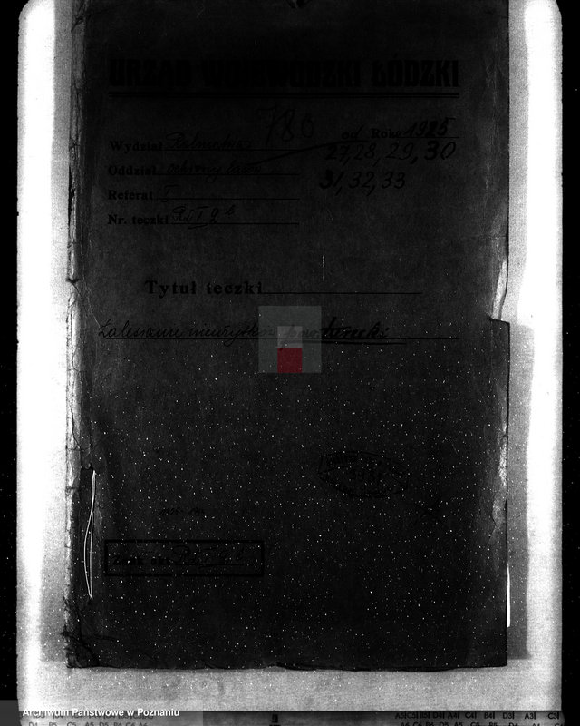 Obraz 4 z jednostki "Zalesienie nieużytków powiatu tureckiego"