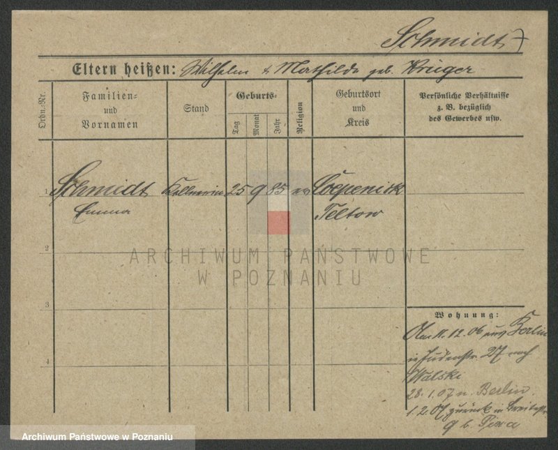 Obraz 17 z jednostki "Szmidt (samotne kobiety od Emma)"