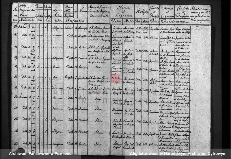 image.from.unit.number "Duplicatum baptisatorum, copulatorum, mortuorum"