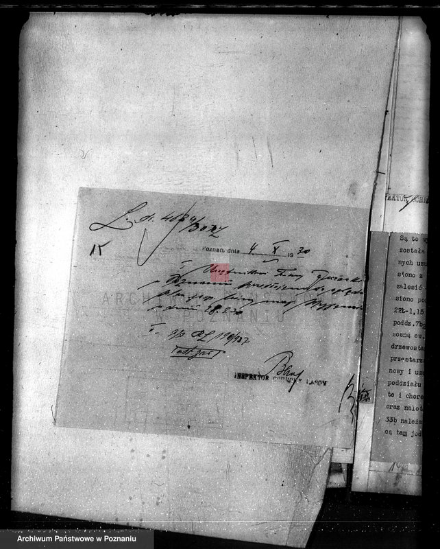 Obraz 19 z jednostki "Majętność Myjowice powiat kępiński"