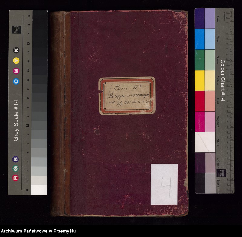 image.from.unit.number "Tom IV Księga urodzonych od 7/8 1891 do 25/7 1904"