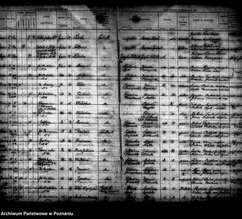 Obraz 17 z jednostki "Księga urodzin"